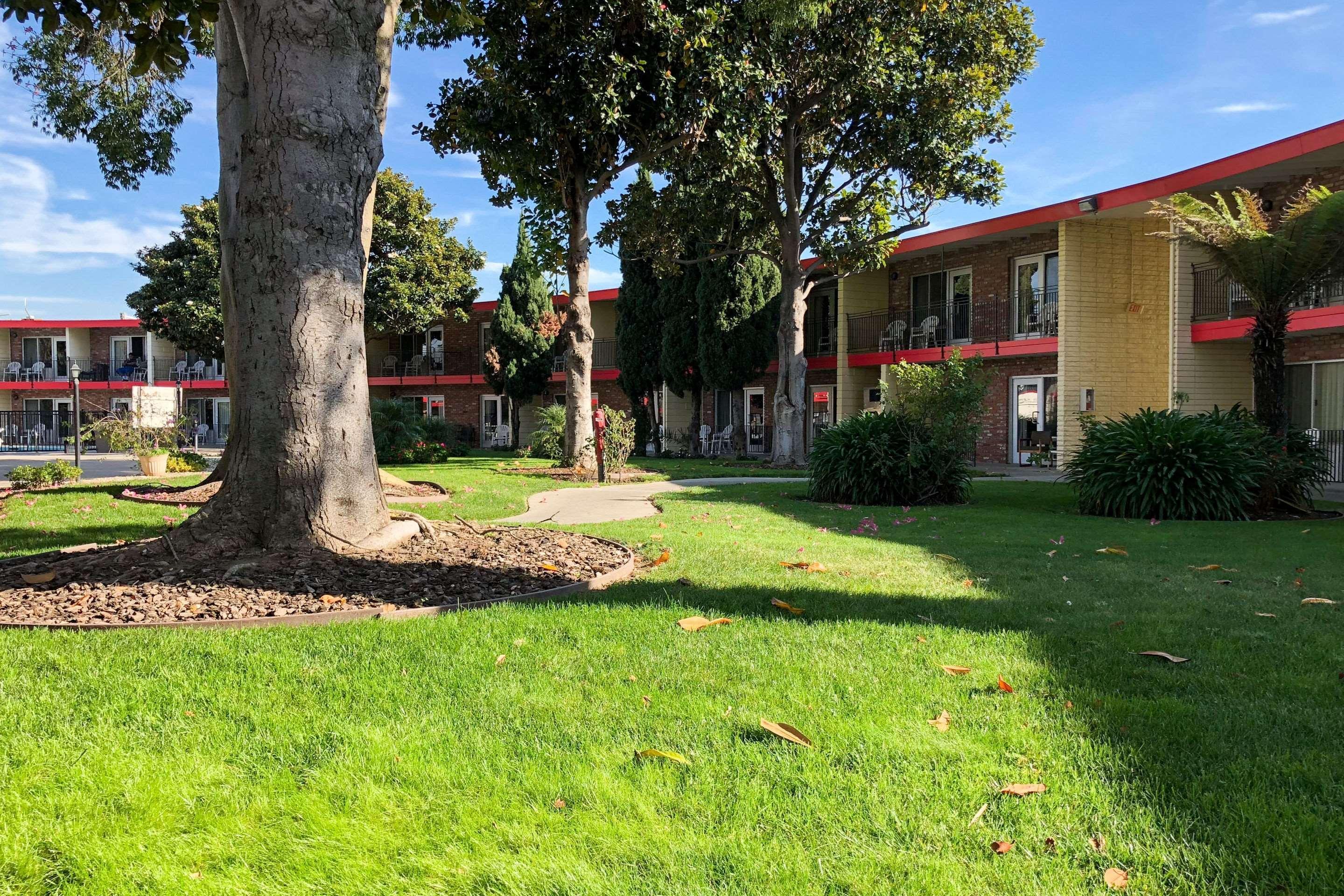Econo Lodge Inn & Suites Oakland Airport Exterior foto