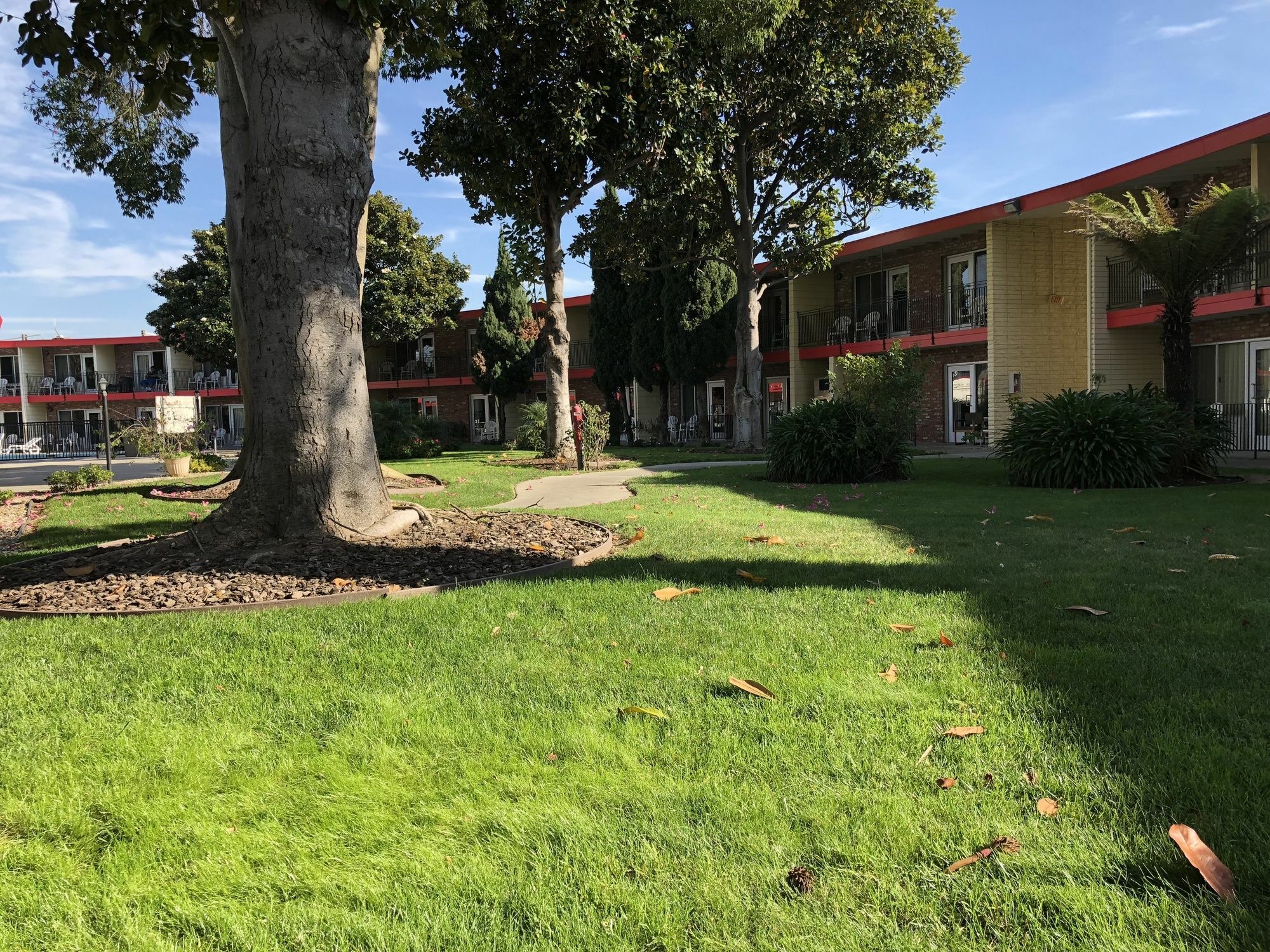Econo Lodge Inn & Suites Oakland Airport Exterior foto